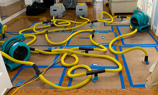 Professional Flood Damage Restoration technician working in Sumner, ME